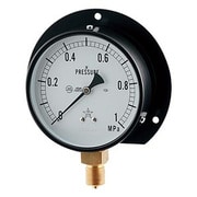 蒸気用圧力計(一般用・Bタイプ) 3/8×100mm×0.25MPa 649-874-05B
