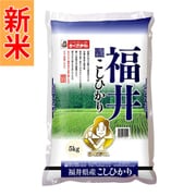 福井県産 こしひかり 精米 5kg 令和7年産