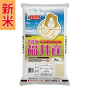 精米 福井県産 華越前 5kg 令和7年産
