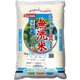 無洗米 富山県産 こしひかり 5kg 令和5年産