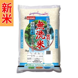 無洗米 富山県産 こしひかり 5kg 令和7年産