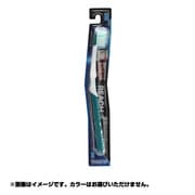 リーチ歯周クリーンレギュラーフツウ [クリーンレギュラー]