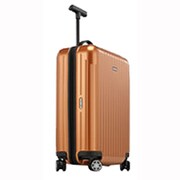 SALSA AIR(サルサ エアー) 82352 旅行日数目安:1~2泊 34L TSAロック搭載 インカゴールド 並行輸入品 820.52.23.4