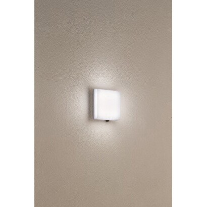 LEDポーチライト 昼光色 DXL81089B