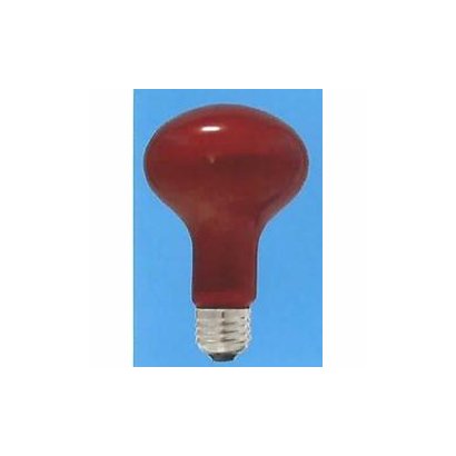 白熱電球 レフ電球 E26口金 110V 40W形 62mm径 耐熱透明カラー 内面フロスト レッド R62 E26 110V-40W(RT)