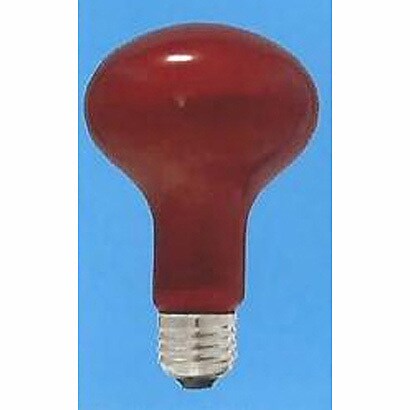 白熱電球 レフ電球 耐熱透明カラー E26口金 110V 100W形 100mm径 内面フロスト レッド R100 E26 110V-100W(RT)