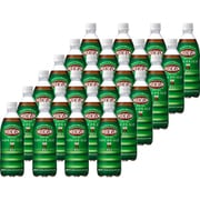 ウィルキンソン ジンジャエール ペット 500ml×24本 [炭酸飲料]