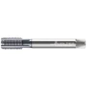 プロトティップ ECO CI 切削タップ(TICNコート) JE2036406-M10