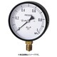 スター (圧力計) S-31-0.16MP