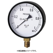 S-41-0.25MP [スター (圧力計)]