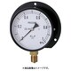 スター (圧力計) S-42-2MP
