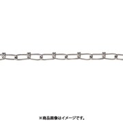 ステンレス ビクターチェーン30m G-04126-V