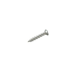 F-690-SDN [ノンプラビス シルバー サラ Bドリルナシ F-690SDN 20本入]