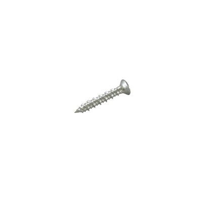 F-690-SDN [ノンプラビス シルバー サラ Bドリルナシ F-690SDN 20本入]