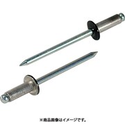 CNSA44B [カラーリベット ブラック 4-4 1000本入り]