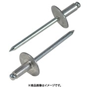 NSA55LF [ブラインドリベットラージフランジ(1000本入)アルミ/スティール5-5]