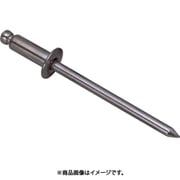 NS3-4 [ブラインドリベット(1000本入) スティール/スティール 3-4]