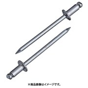 NS4-4 [ブラインドリベット(1000本入) スティール/スティール 4-4]