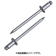 NS4-4EB [ブラインドリベット(300本入) スティール/スティール NS44EB]