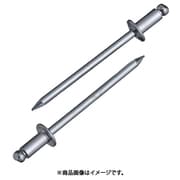 NS4-5 [ブラインドリベット(1000本入) スティール/スティール 4-5]