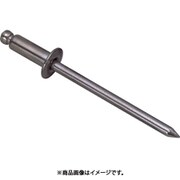 NS5-4 [ブラインドリベット(1000本入) スティール/スティール 5-4]