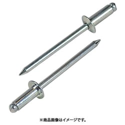 ブラインドリベット(1000本入) スティール/スティール 5-5 NS5-5