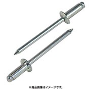NS5-5 [ブラインドリベット(1000本入) スティール/スティール 5-5]