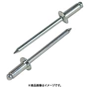 NS6-5 [ブラインドリベット(1000本入) スティール/スティール 6-5]