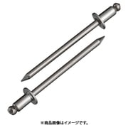 NST4-2 [ブラインドリベット(1000本入) ステンレス/ステンレス 4-2]