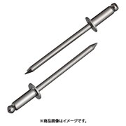 NST4-4 [ブラインドリベット(1000本入) ステンレス/ステンレス 4-4]