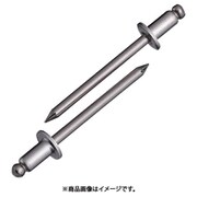 NST6-2 [ブラインドリベット(1000本入) ステンレス/ステンレス 6-2]
