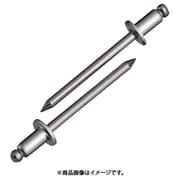 NST6-3 [ブラインドリベット(1000本入) ステンレス/ステンレス 6-3]