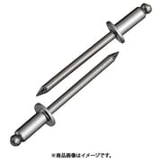 NST6-5 [ブラインドリベット(1000本入) ステンレス/ステンレス 6-5]