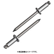 NST6-6 [ブラインドリベット(1000本入) ステンレス/ステンレス 6-6]
