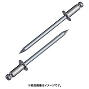 NSS4-8 [ブラインドリベット(1000本入) ステンレス/スティール 4-8]