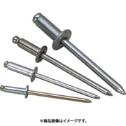 NSS5-5 [ブラインドリベット(1000本入) ステンレス/スティール 5-5]