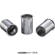 NSK10M [ナット(500本入) Kタイプ スティール 10-4.0]