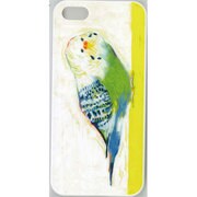 MIP5S-035 [iPhone5Sカバー 柴田ケイコ セキセイインコ]