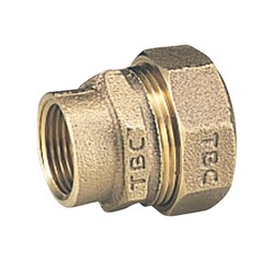 20PGV-1 [PE継手メネジ1種20mm]