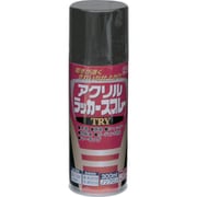 222T004-300 [アクリルラッカースプレーTRY 300ml つやなしブラック]