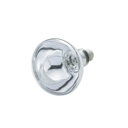 レフランプ110V200W RF110V180WHC