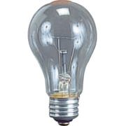 耐振電球100W (ILI、KL型用) TD-100