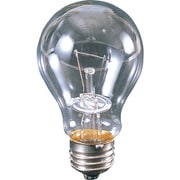 耐震球 クリア耐震球 110V100W CT-100