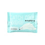 HC-100PL [キャッチクール 100g]