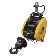 WI-125-21 [電動小型ウインチ 130kg]