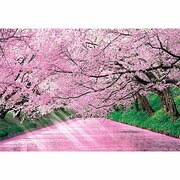 ジグソーパズル 47-205 [桜色の弘前城跡-青森 600ピース]