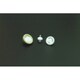 CA013045 [MSシリンジフィルター CA 100個入り]