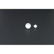 GF025070 [MSシリンジフィルター GF(グラスファイバー) 100個入り]