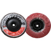 GP100ALC-40 [GPトップα ねじ込み式 セラミック 100Φ 40# 10入]