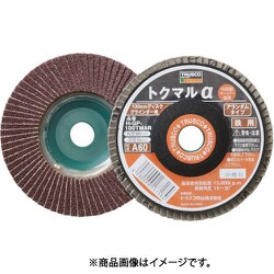 GP-100TMAR [トクマルα アランダム Φ100 10枚入 100#]